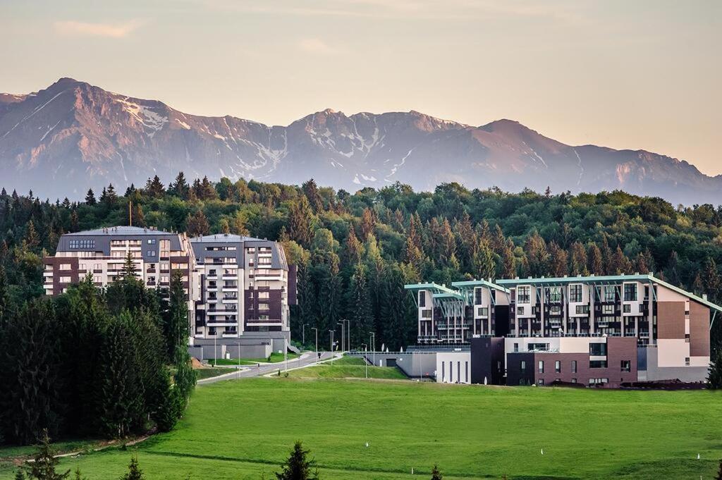 Silver Mountain G1 21 R Brassópojána Kültér fotó