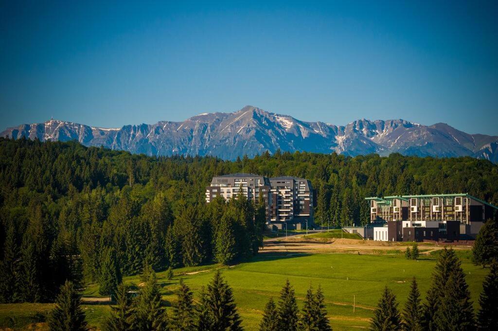 Silver Mountain G1 21 R Brassópojána Kültér fotó
