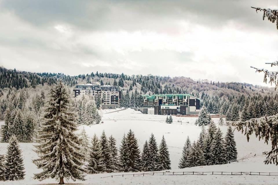 Silver Mountain G1 21 R Brassópojána Kültér fotó